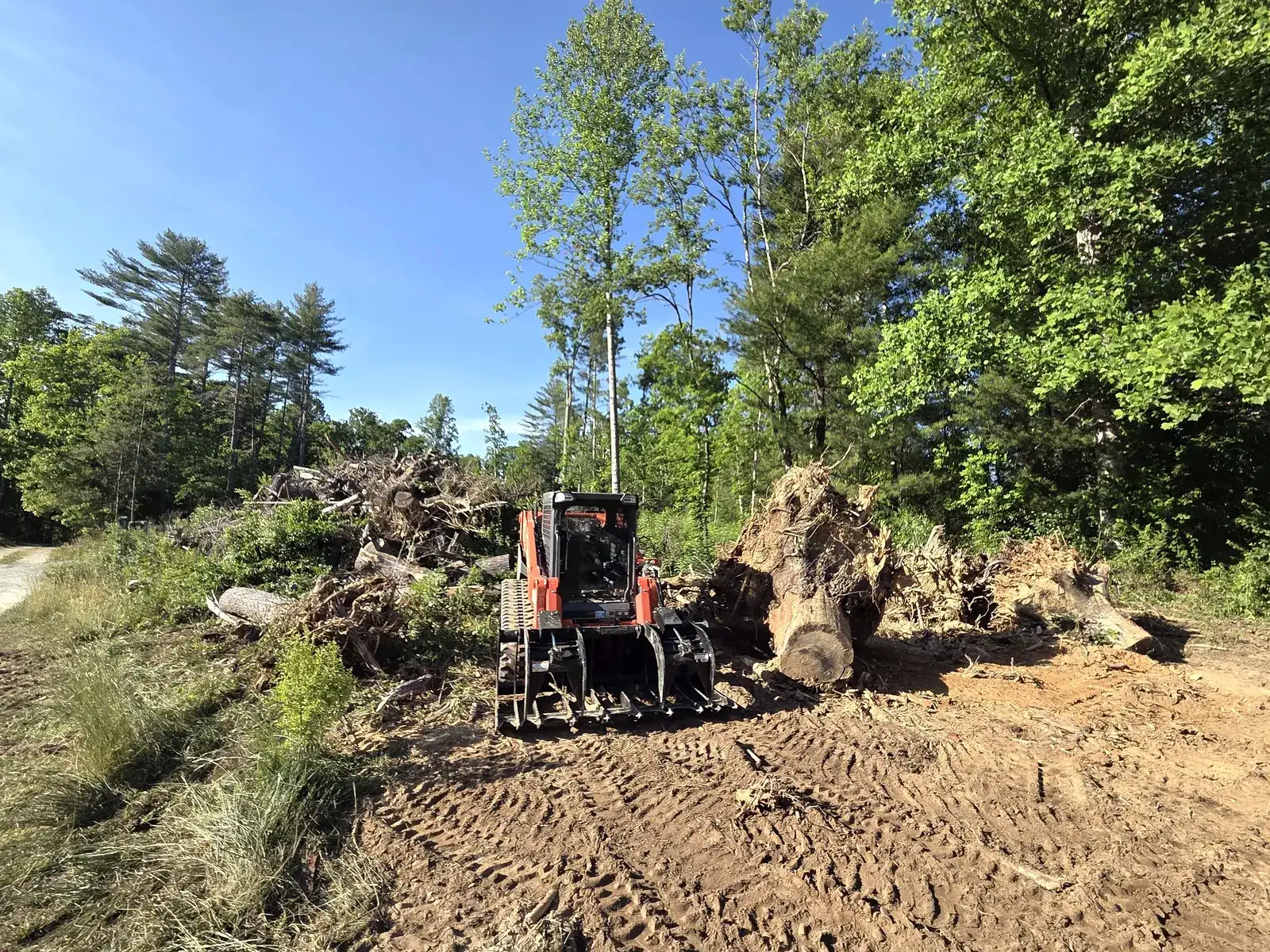 Skid Steer & Bushhog