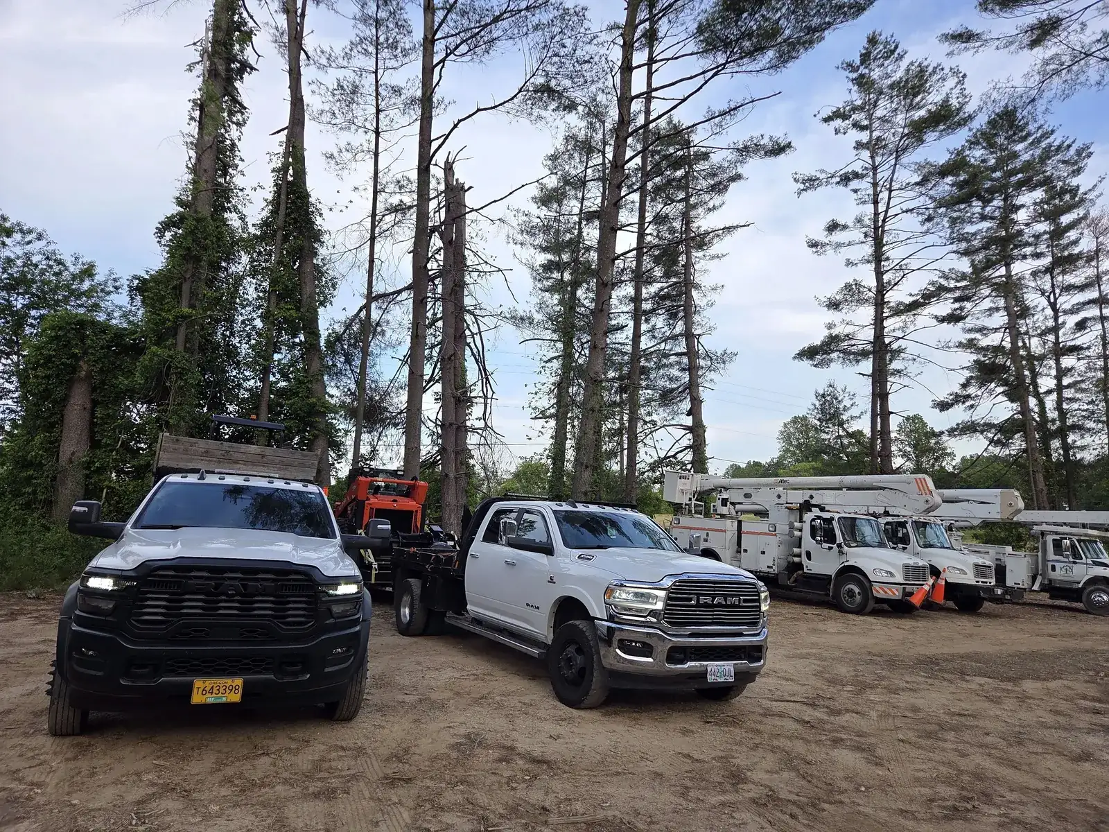 Timber Hill tree service truck fleet