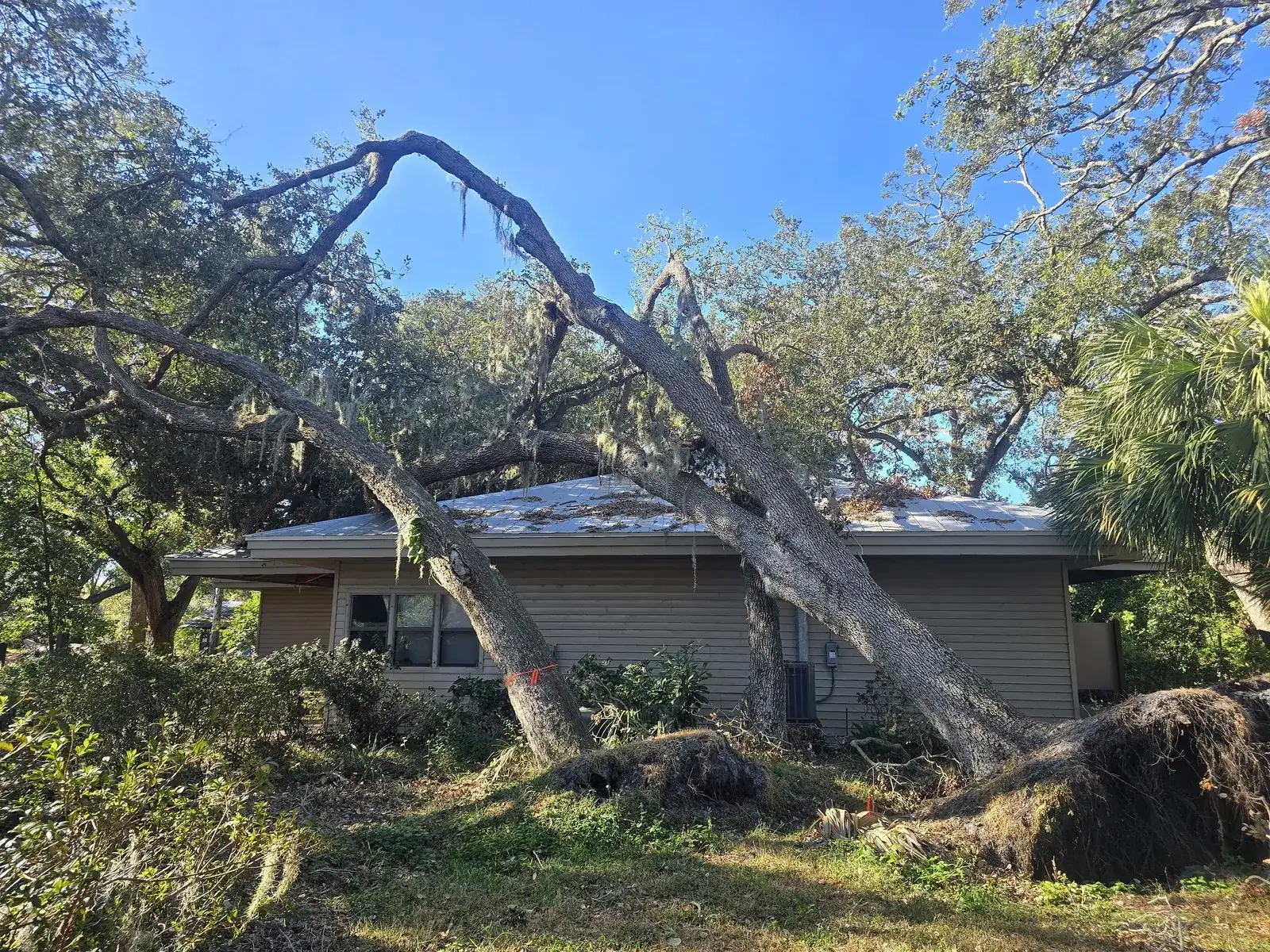 Storm Cleanup & Emergency